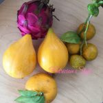 ドラゴン、カニステル、シークワーサー